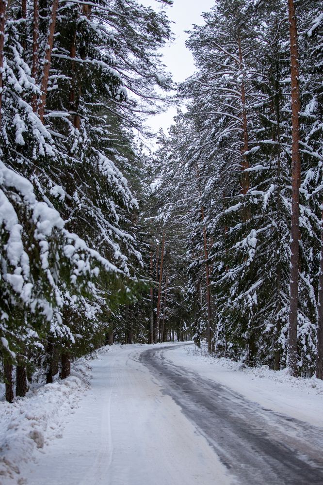 Photograph by Сергей Петренко