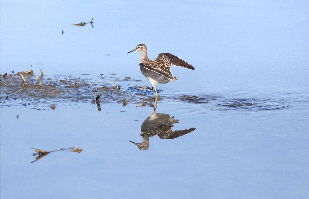 Photograph by Холодняк Светлана