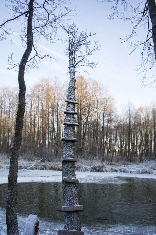 "Зимняя Колпь"