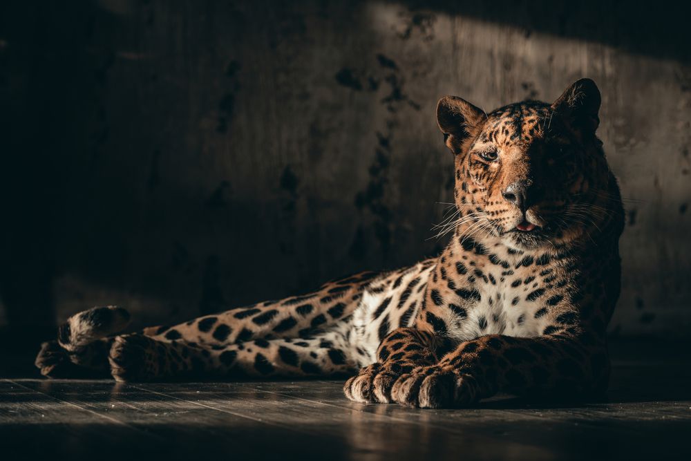 Photograph by Антон Ростовский