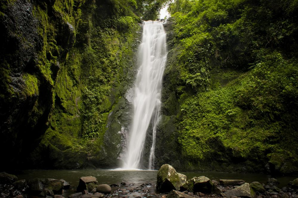 Photograph by Jean Cursino