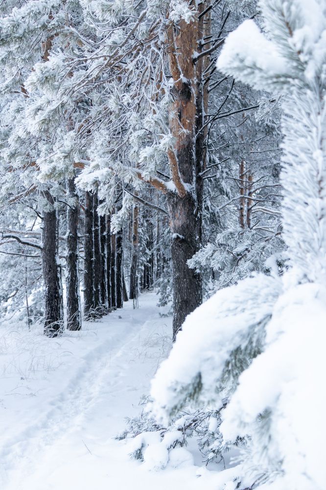 Фотография автора Alexander Pakhomov