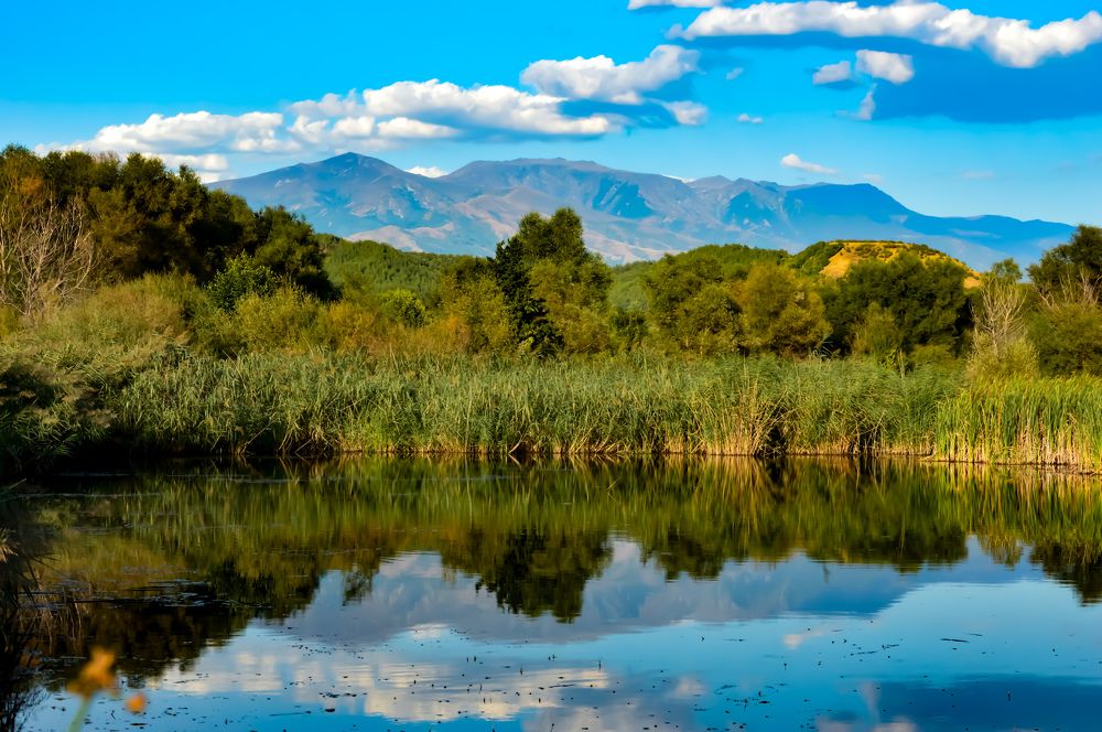 Photograph by Христо Колев