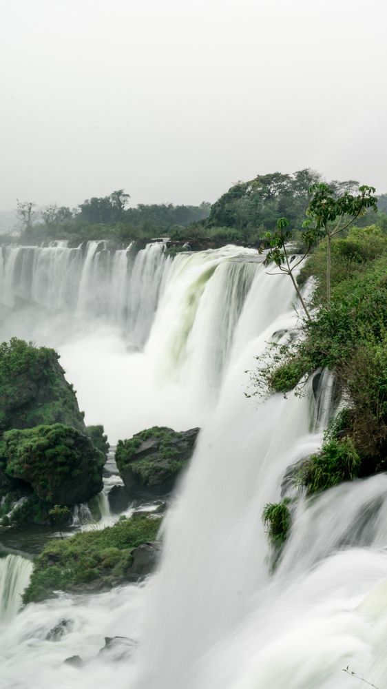 Photograph by Marcelo Balbuena