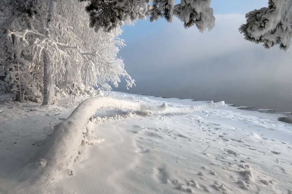 Photograph by Марина Фомина