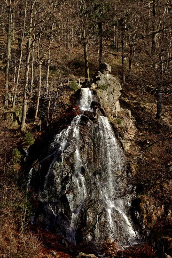 Photograph by Михаил Жарский