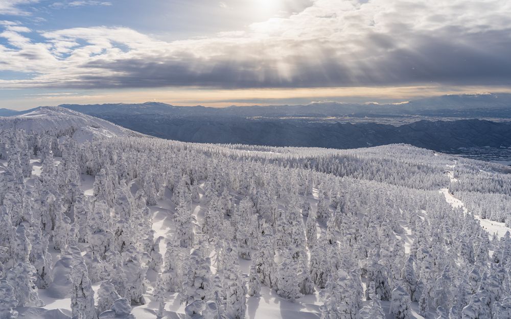 Photograph by Onishi Evgeniya