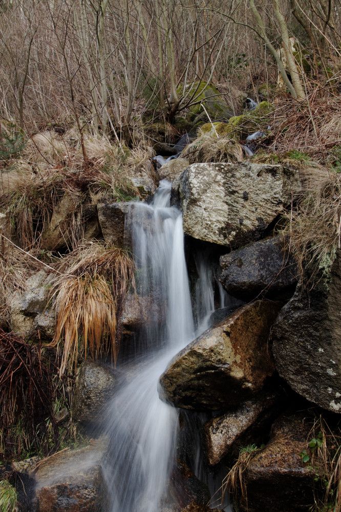 Photograph by Михаил Жарский