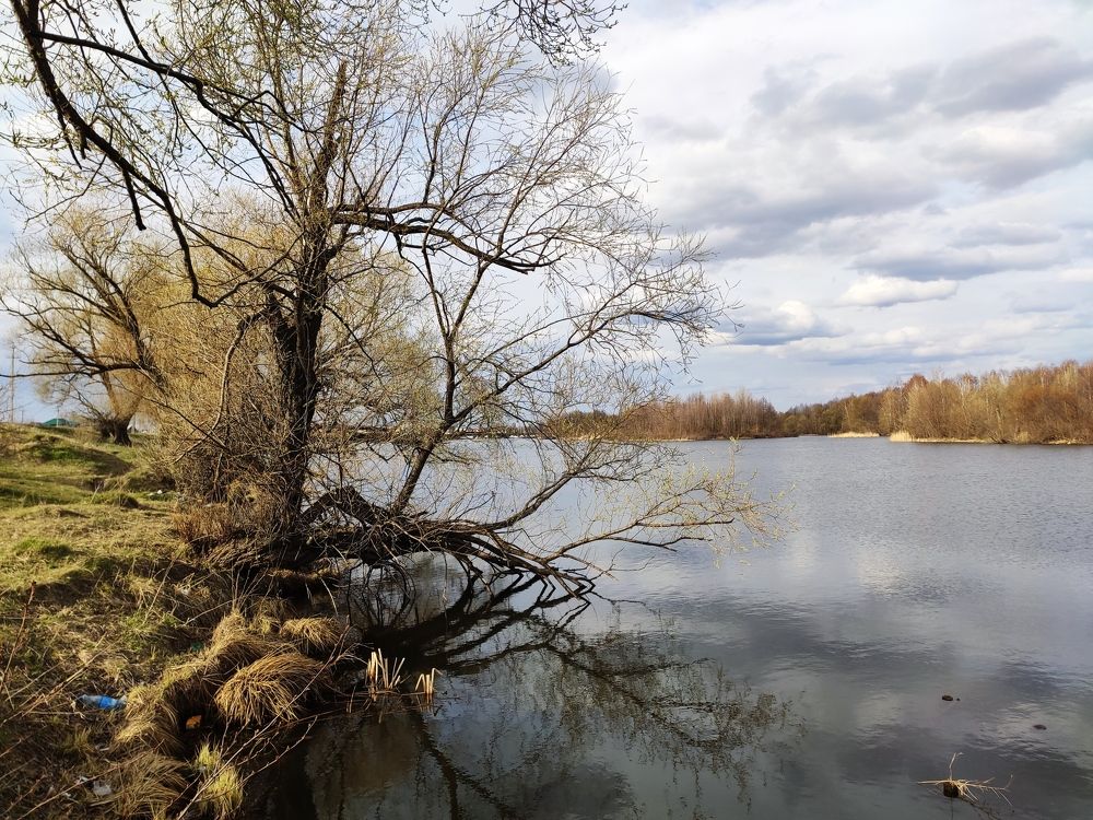 Photograph by Алексей Ларин