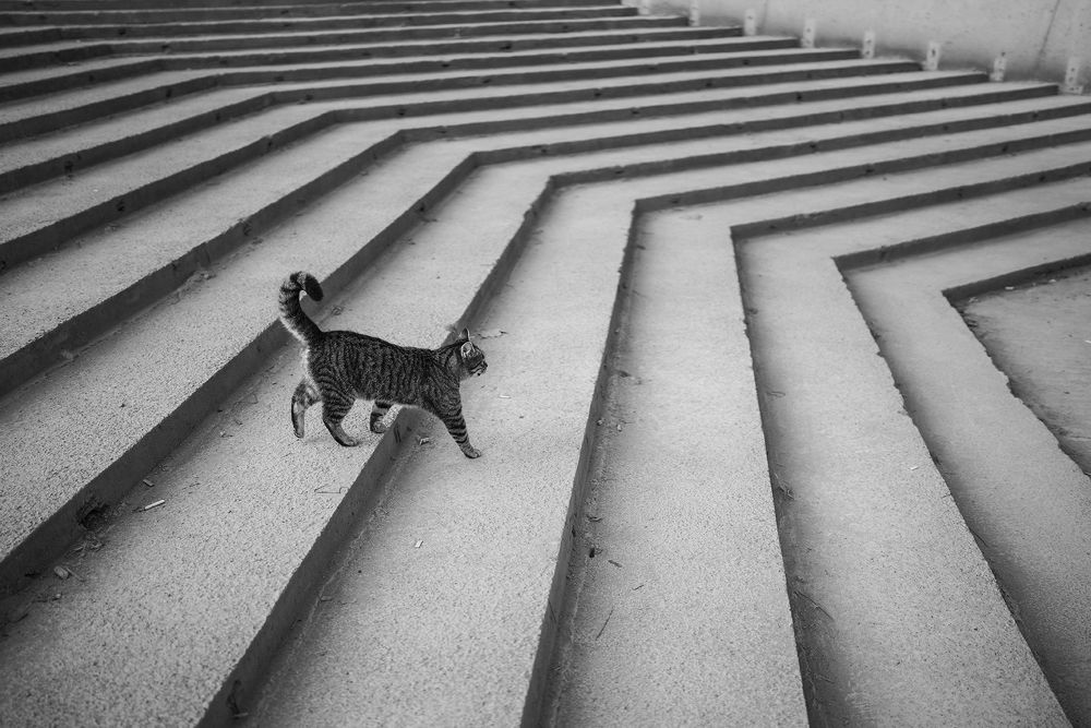 Photograph by Tahsin Gun