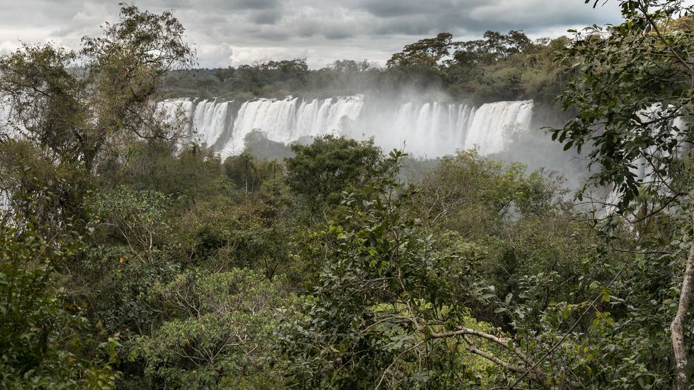 Photograph by Marcelo Balbuena