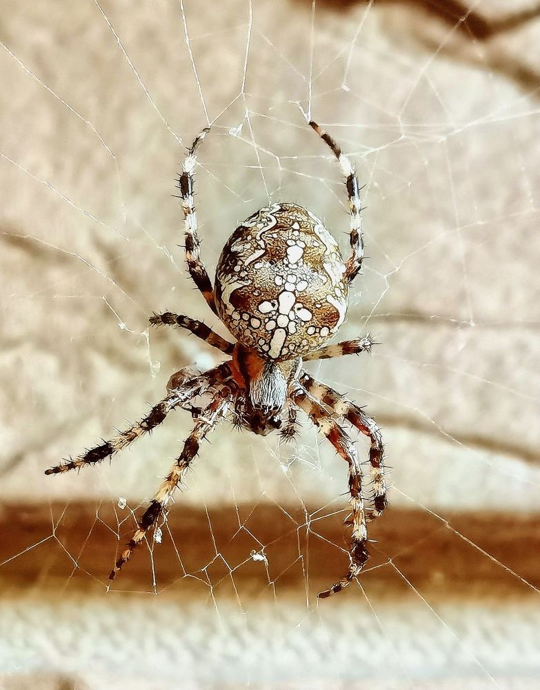 Photograph by Олеся Газиева