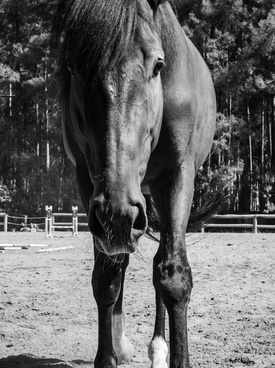 Photo #6964545