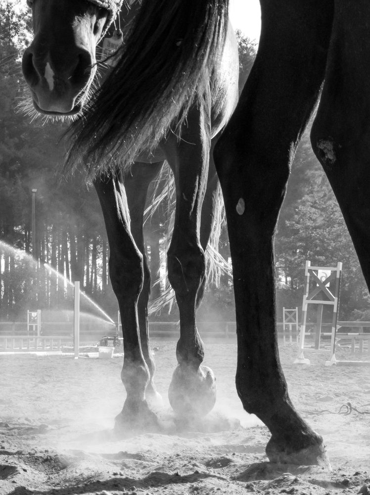 Photo #6964548