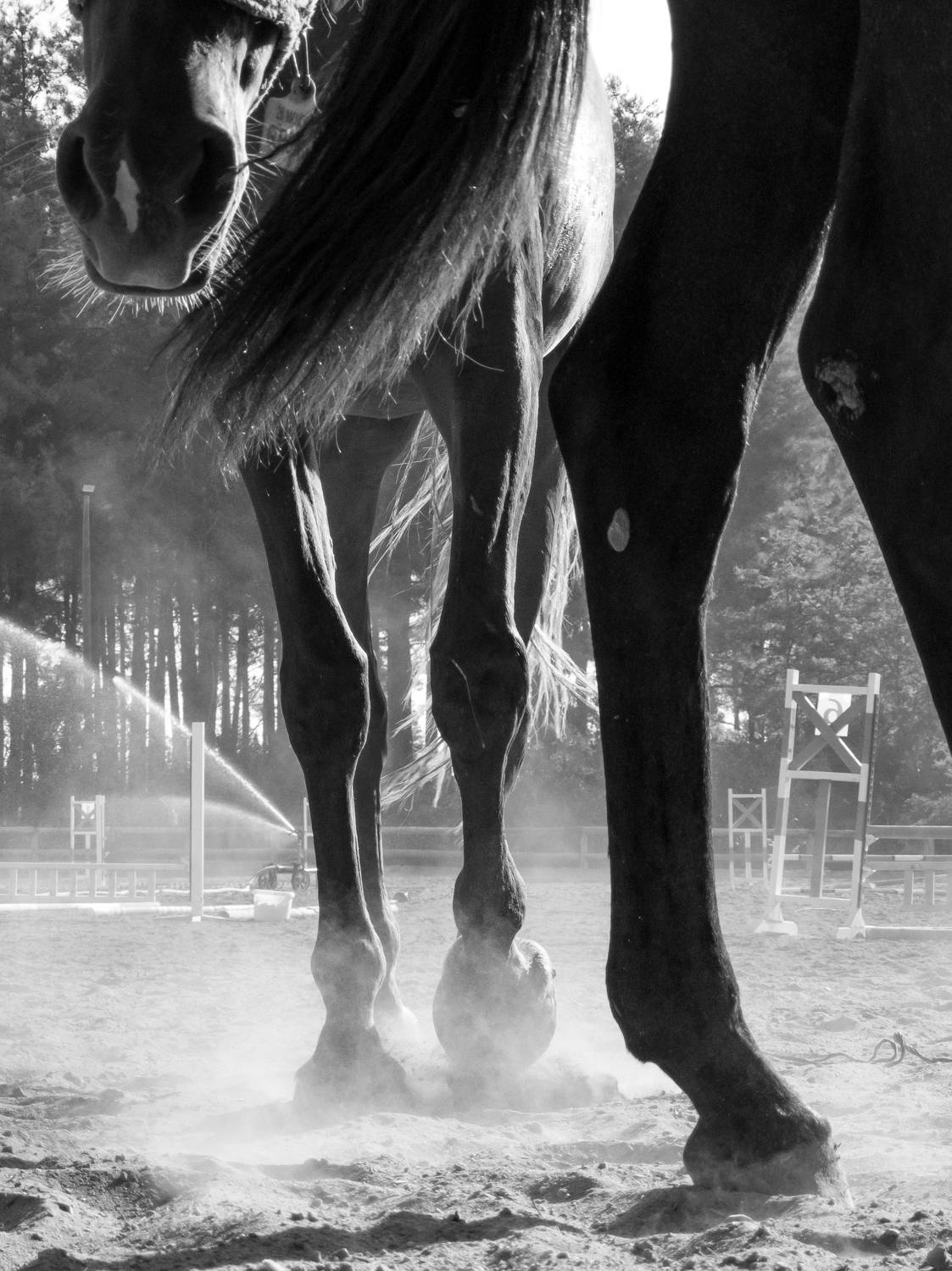 Photo #6964548