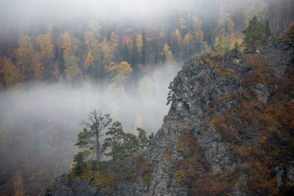 Photograph by Александр Нерозя