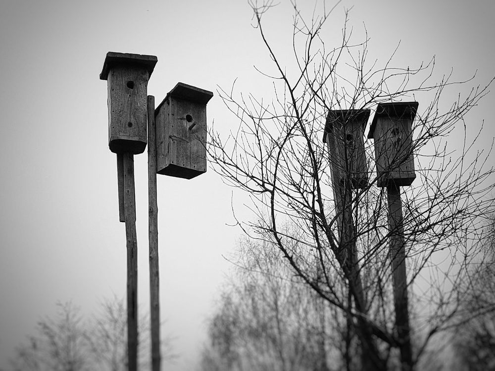 Photograph by Анна Витальевна