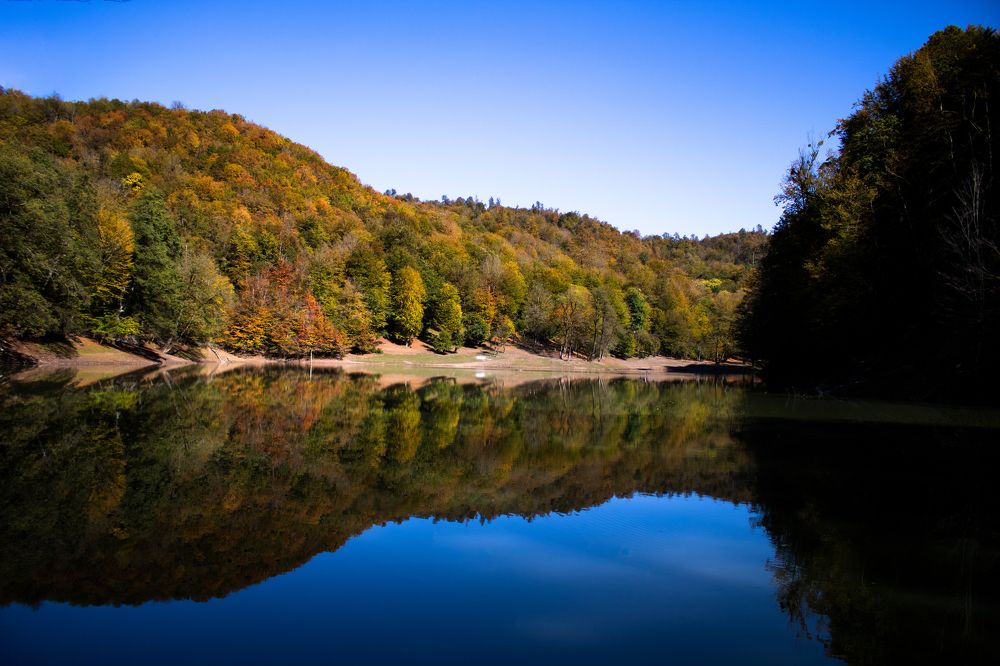 Photograph by Saman Rashidi motlagh