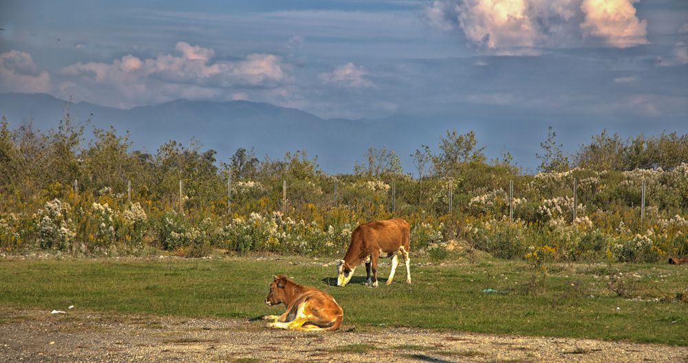 Photograph by Антонина Владимировна Завальнюк
