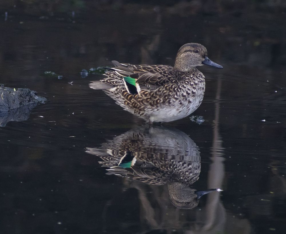 Life is only a reflection of what we allow ourselves to see