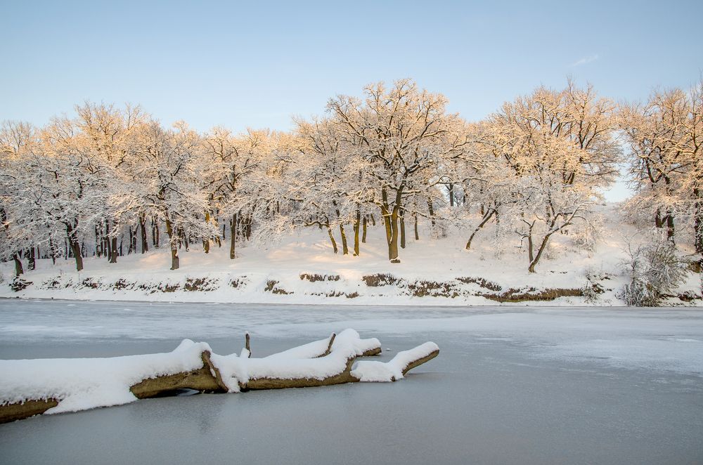 Фотография автора Vladislav Shilo