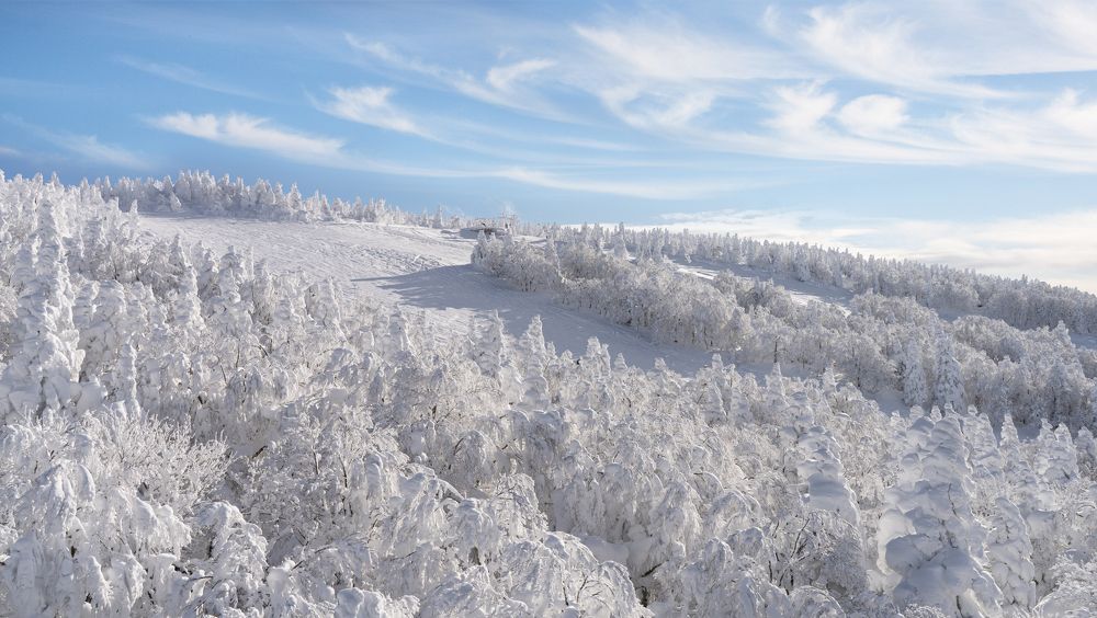 Photograph by Onishi Evgeniya