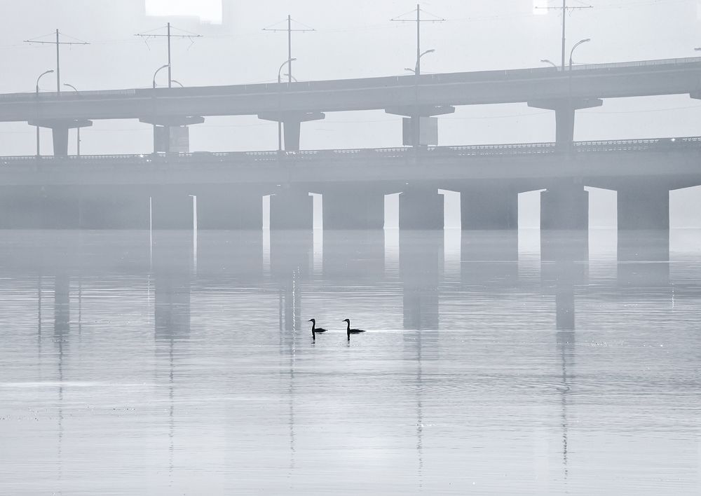 Photograph by Наталья Коньшина