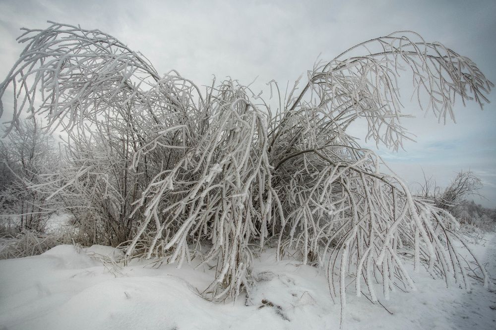 Photograph by Бибиков Сергей
