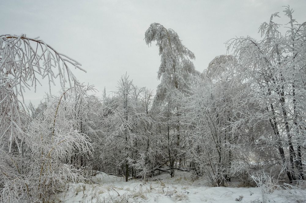 Photograph by Бибиков Сергей