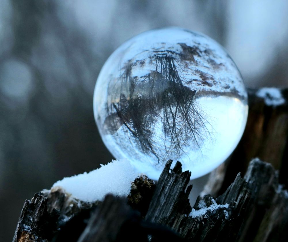 Photograph by Елена Мизина