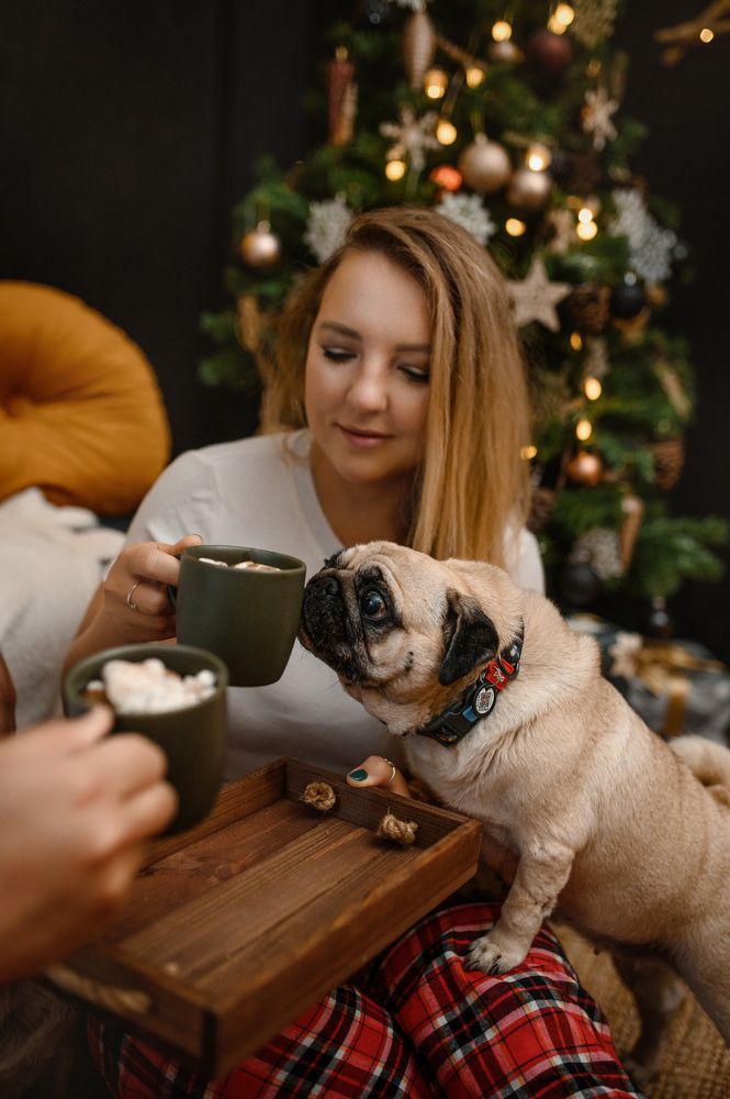 Photograph by Elena Yilmaz