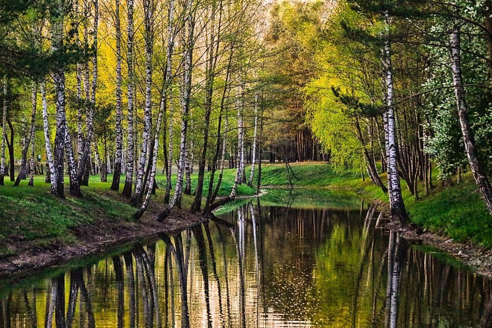 Photograph by Антонина Владимировна Завальнюк