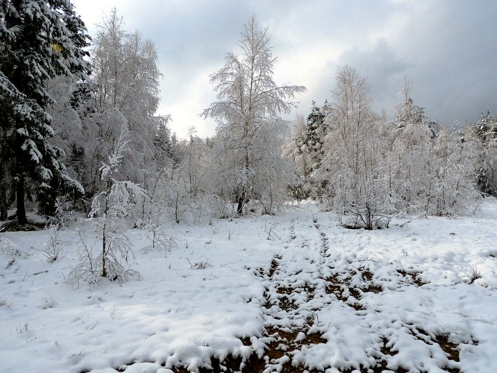 Photograph by Іван Березовський