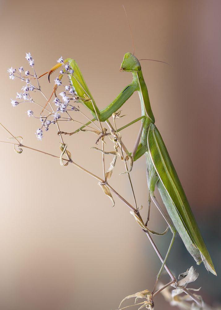 Photograph by Кузнецов Дмитрий