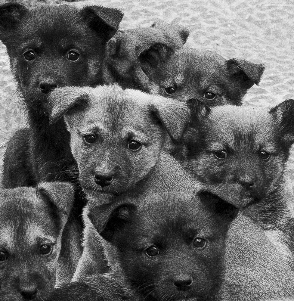 Photograph by Елена Елизарьева