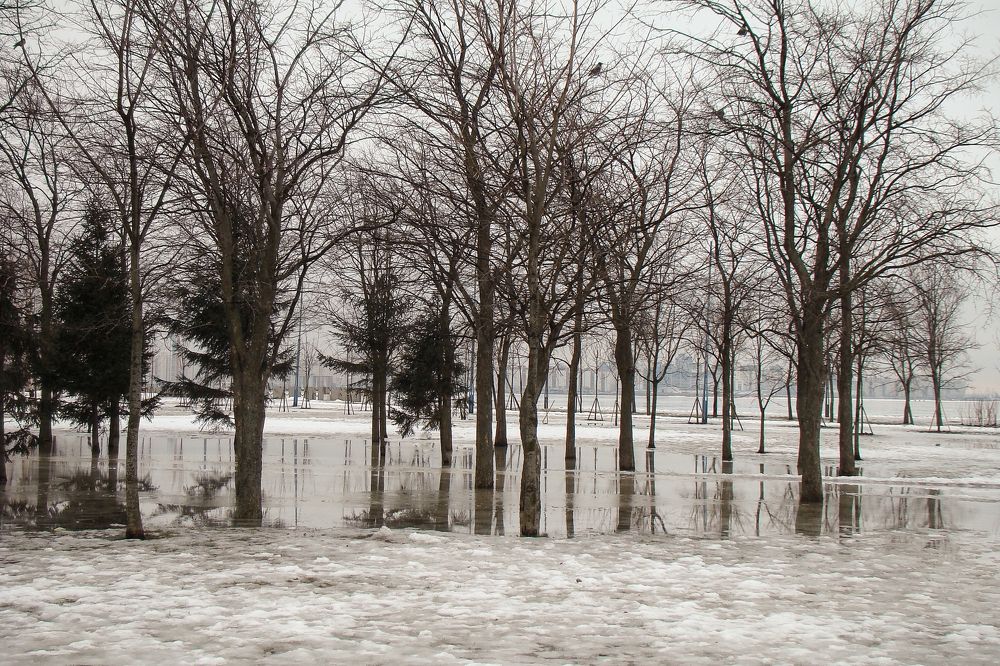 Photograph by Герман