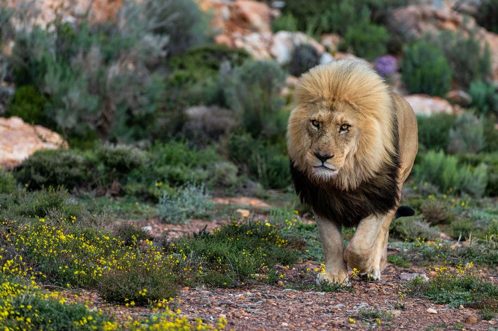Photograph by Дмитрий Николаев