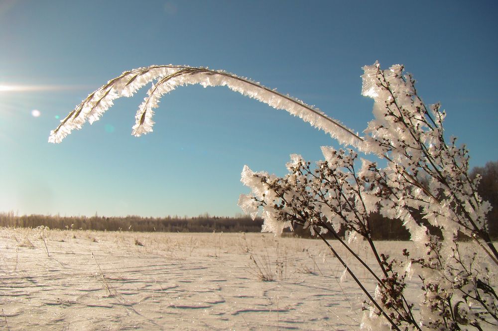 Photograph by Герман