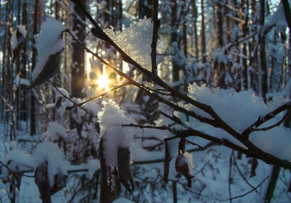 Photograph by Герман