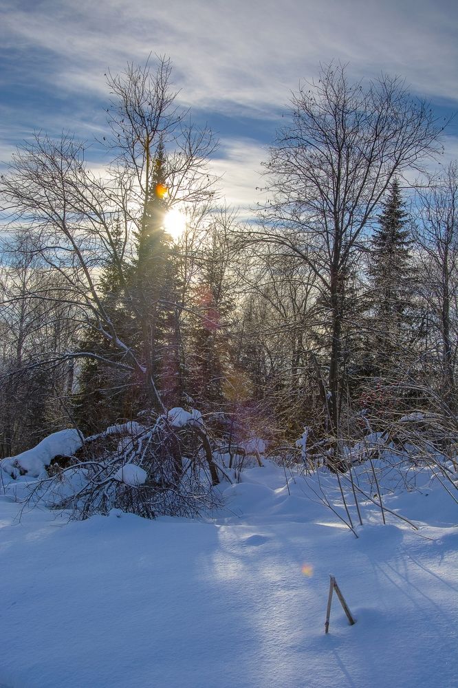 Photograph by Михаил Лавренков