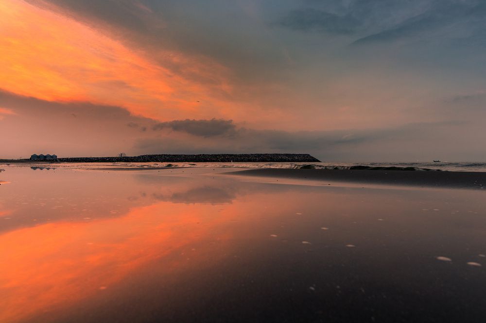 Фотография автора Pouya Palizkar