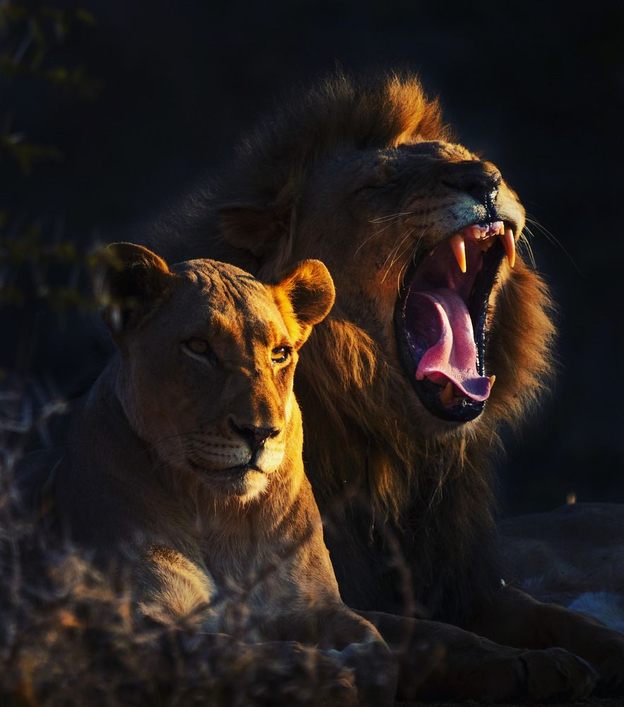 Photograph by Chris Stavrakas