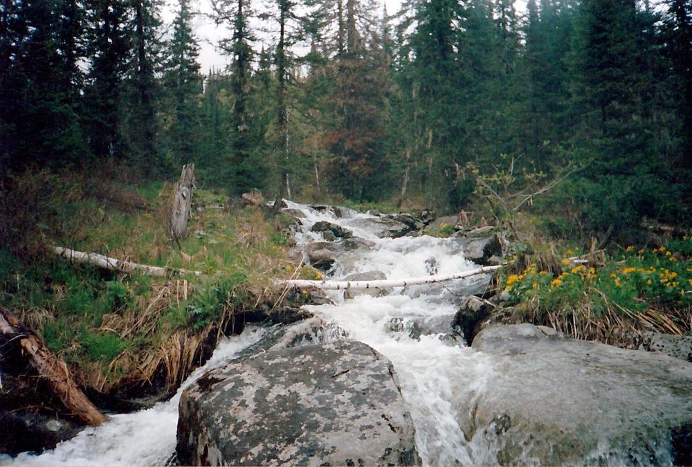 Photograph by Михаил Лавренков