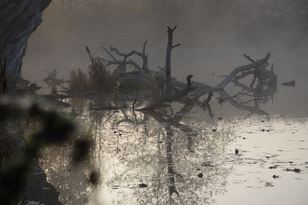 Photograph by Сергей Ножнин