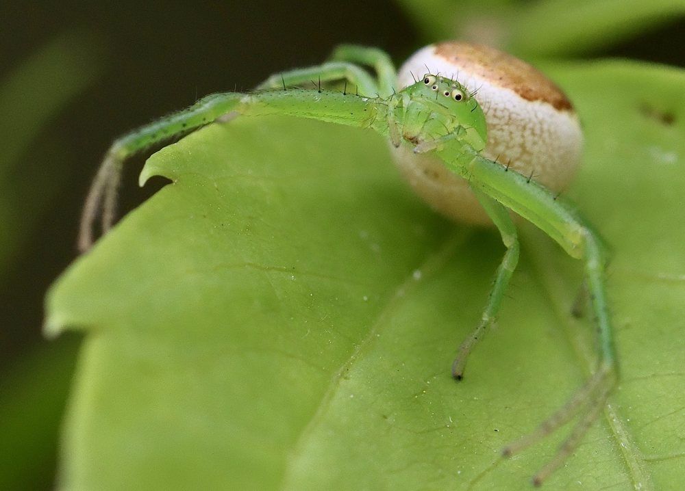 Photograph by Малика Маткарим