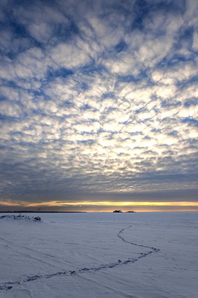 Photograph by Александр Гурьянов