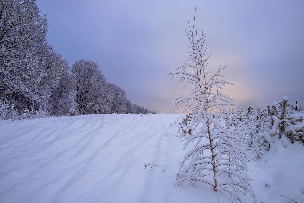 Photograph by Ангелина Старцева