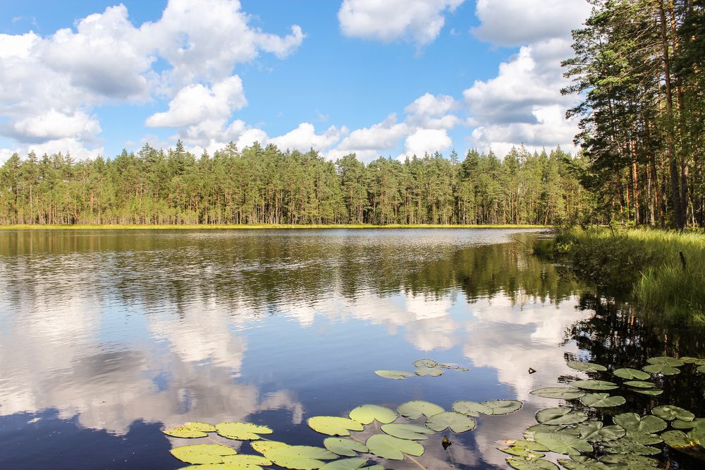 Photograph by Герман