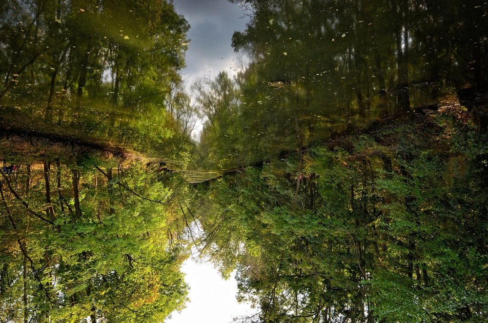 Photograph by Владимир Погребной