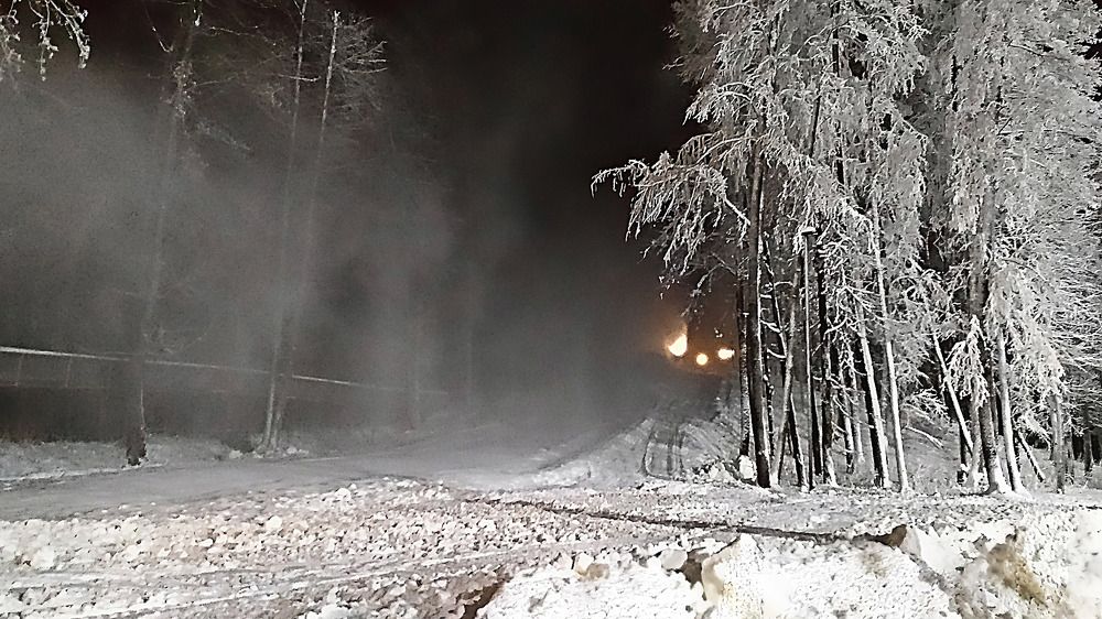 Фотография автора Елена Савельева